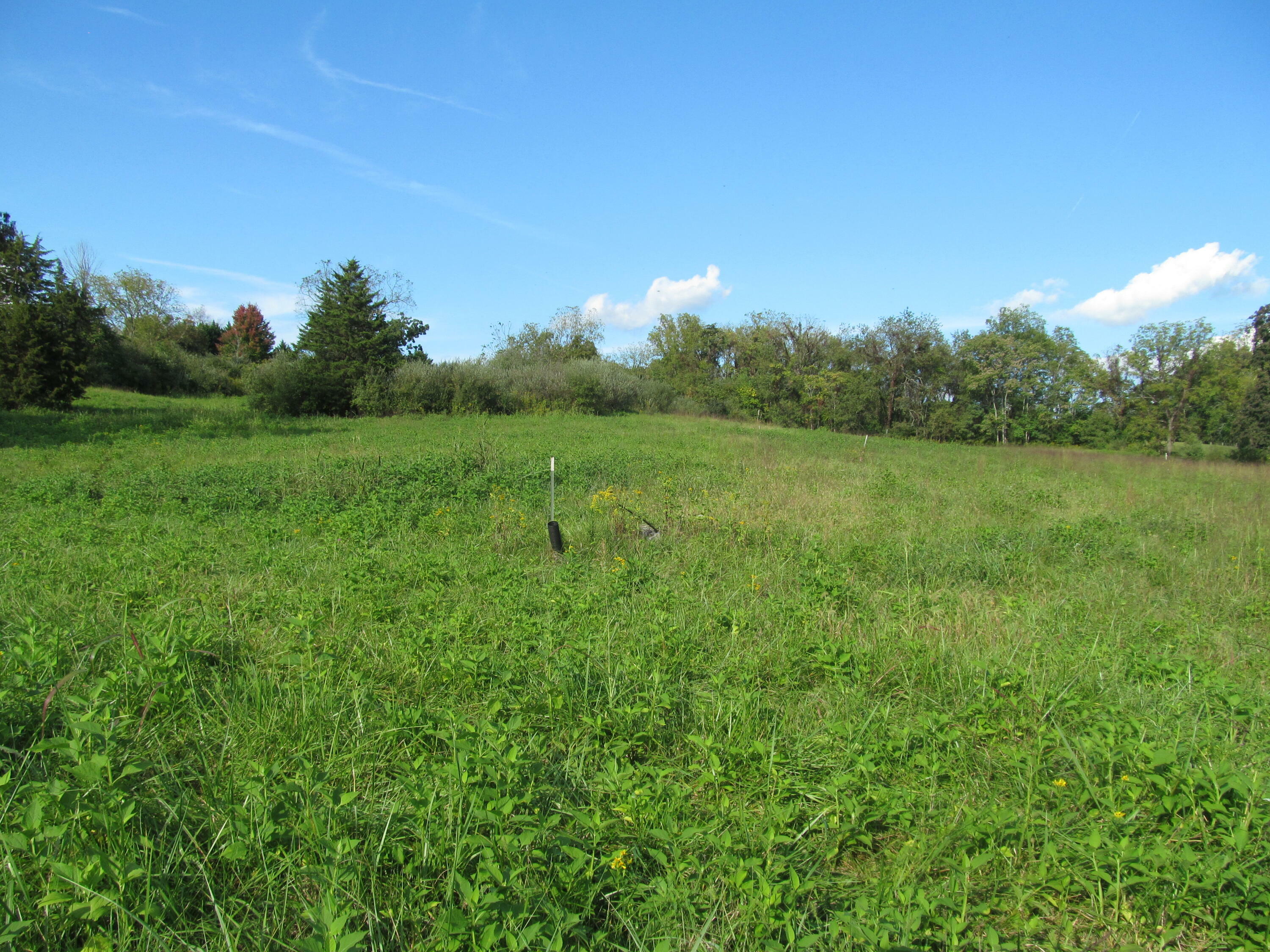 Property Photo:  0 Goad Rd  VA 24090 