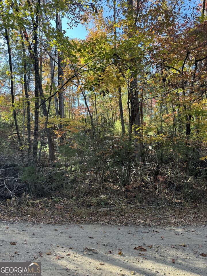 11 Mill Creek Acres  Blue Ridge GA 30513 photo