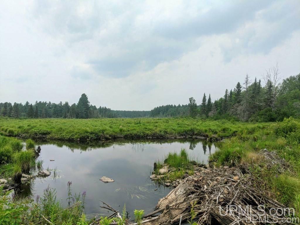 Property Photo:  40 Acres Fh 16 Highway  MI 49935 