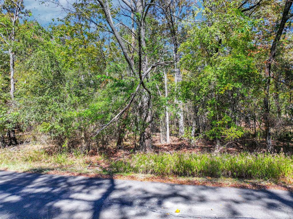Property Photo: Lot 7 King Sebastion Road TX 75480