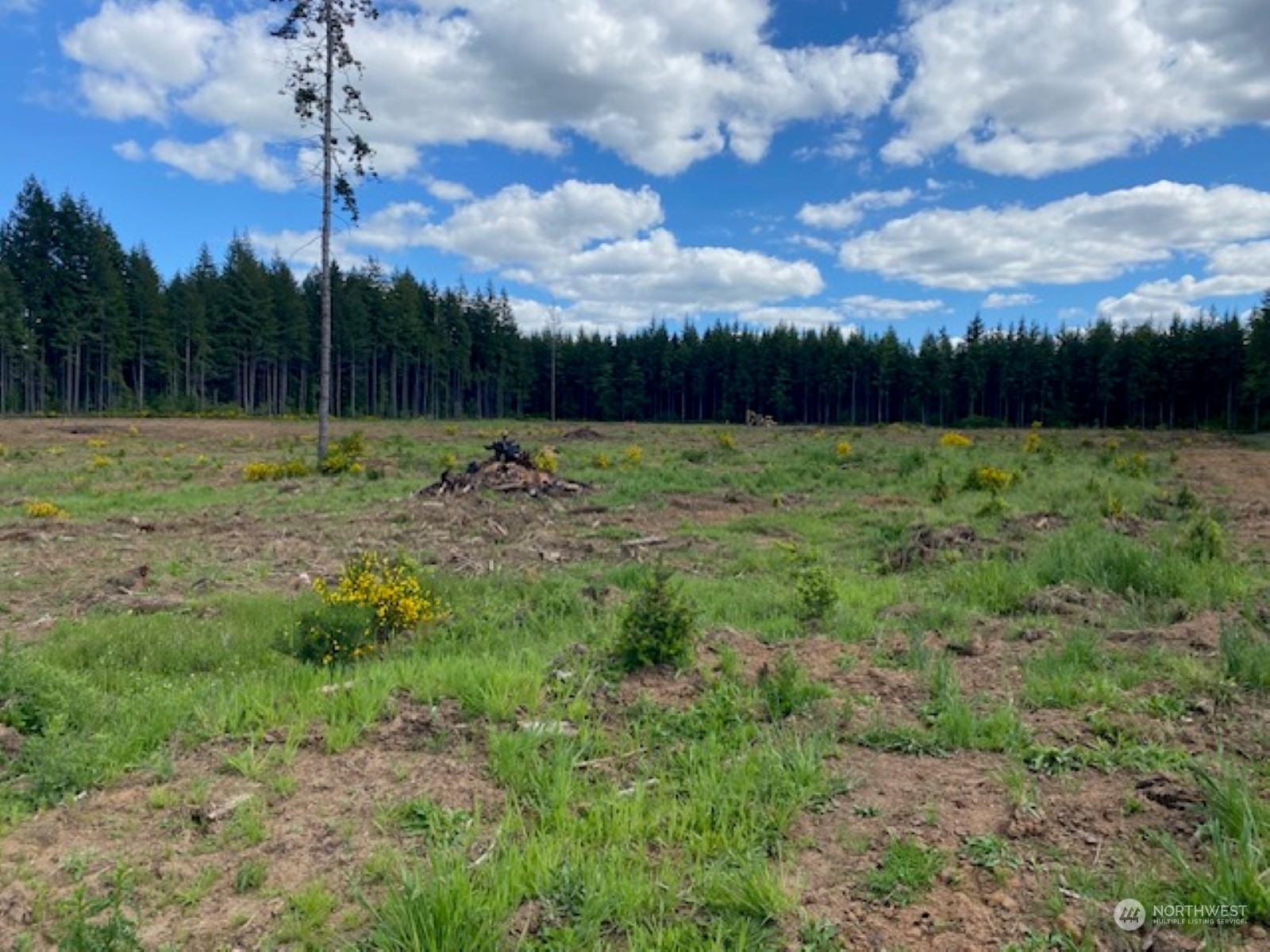 Property Photo: 132 Nando Lane WA 98532