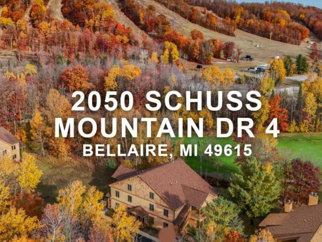 2050 W Schuss Mountain Drive  Custer Twp MI 49615 photo