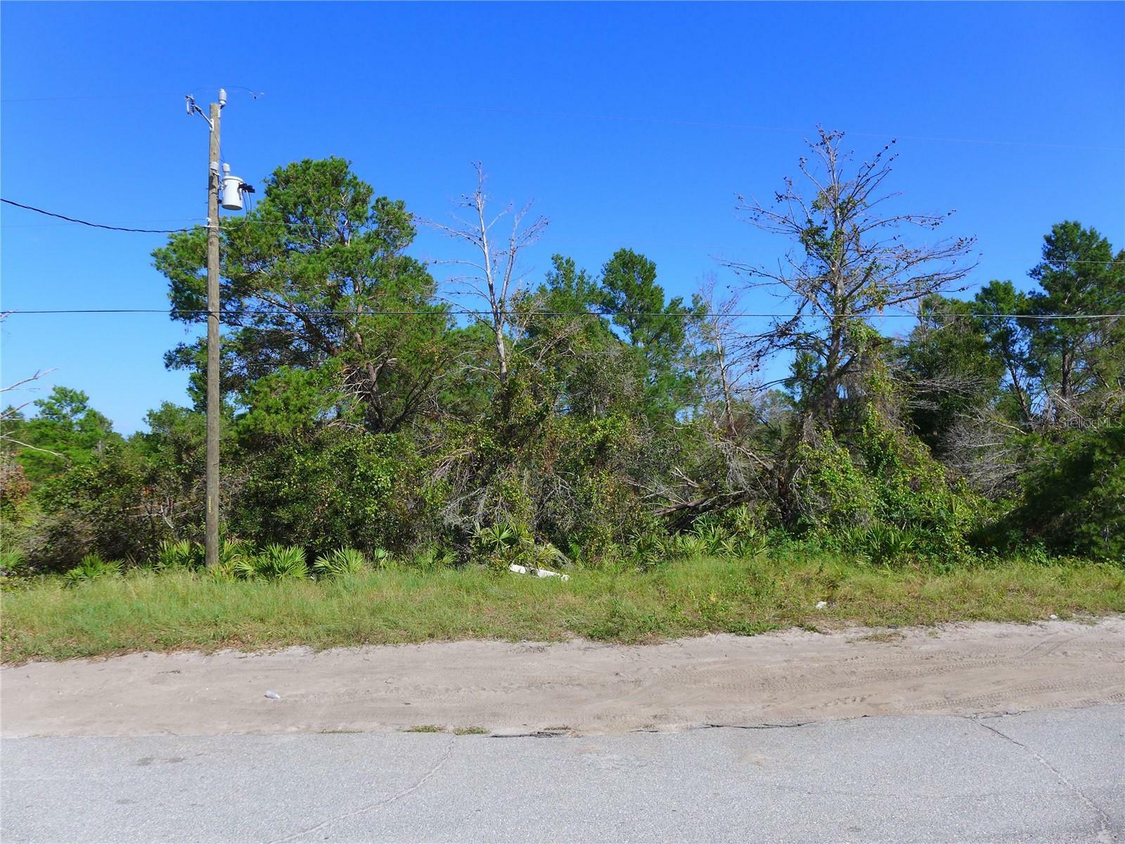 Property Photo:  Jackson Street  FL 33859 