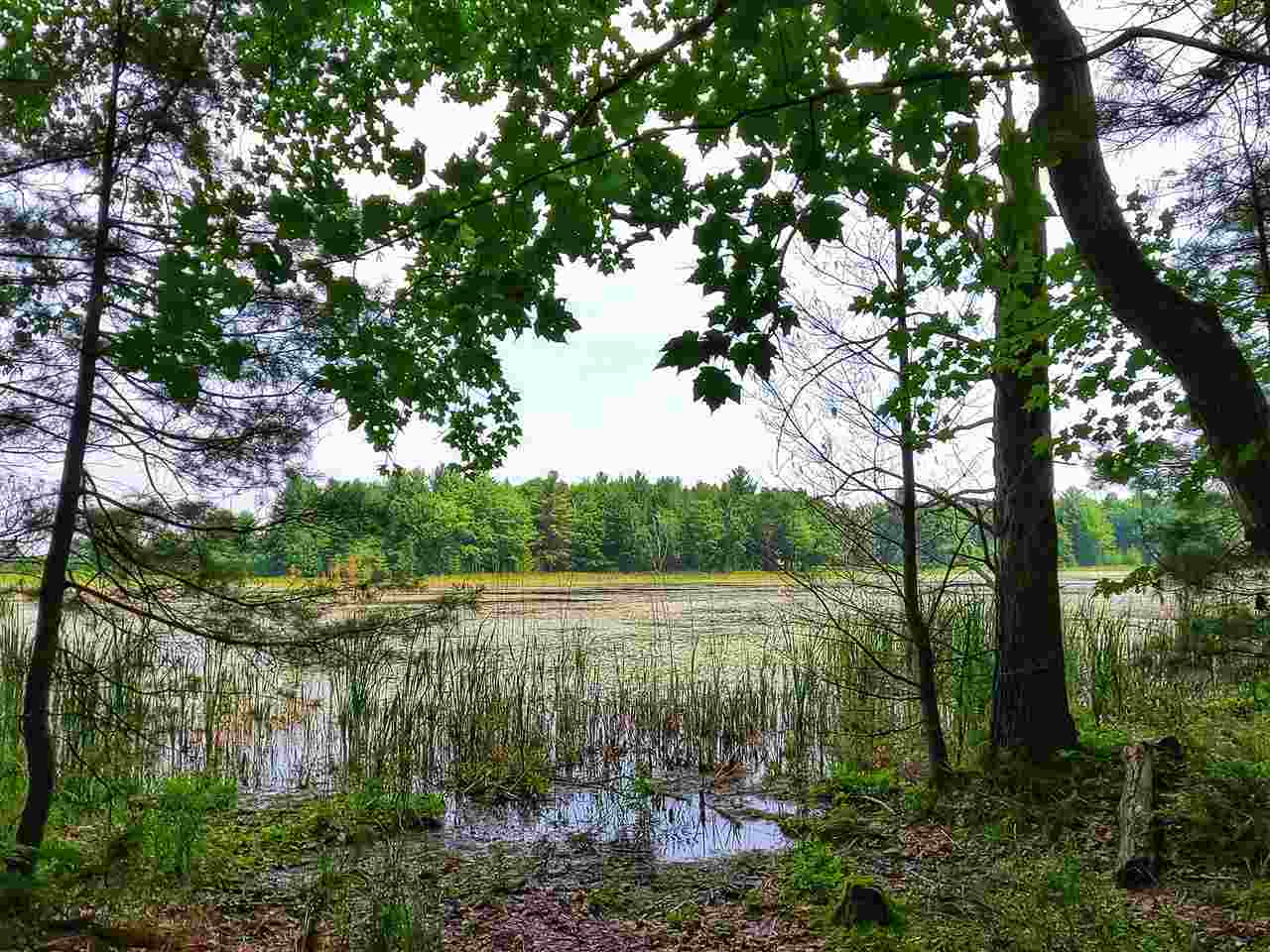 Property Photo:  864 SE Blue Heron Drive  MI 49646 