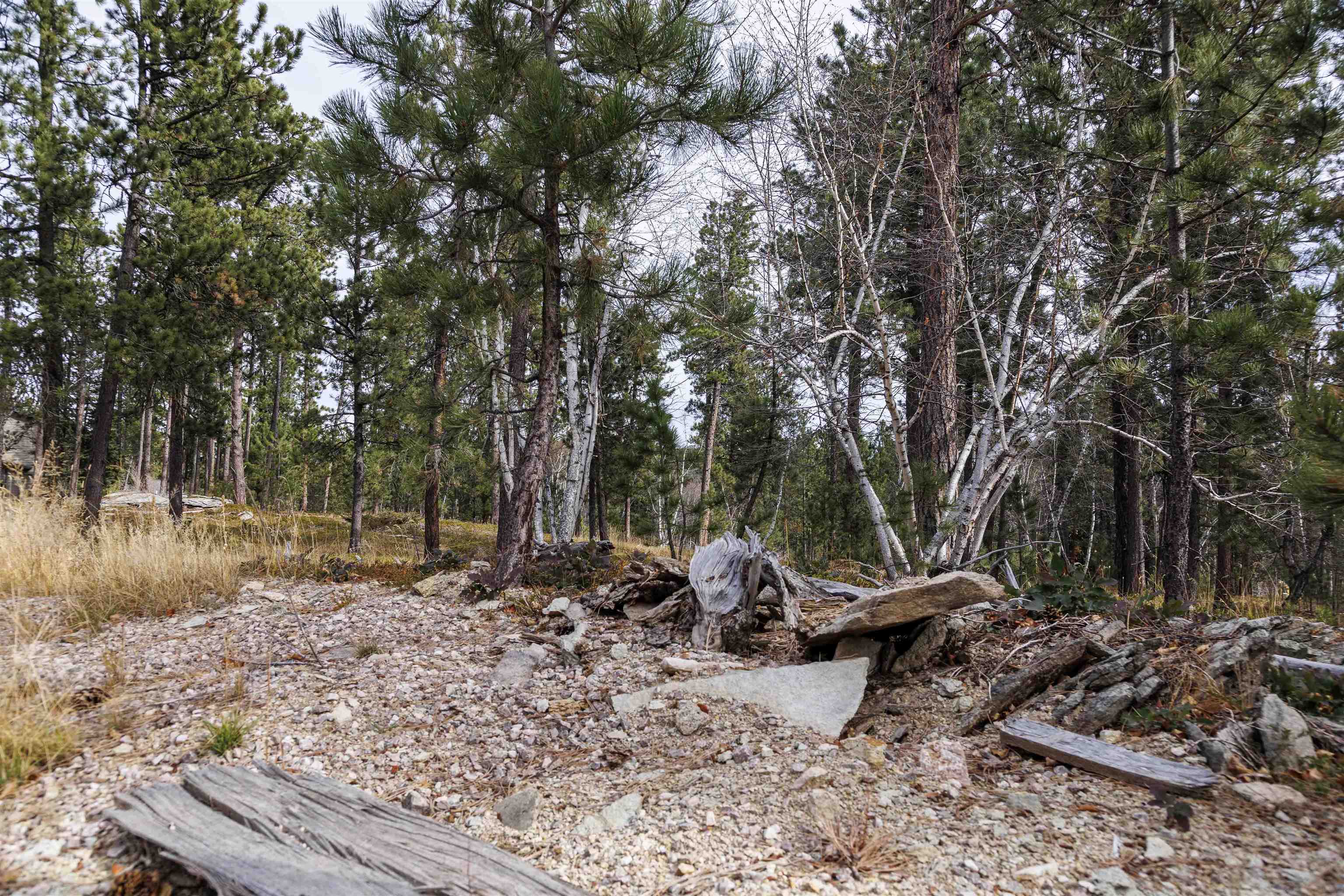 Property Photo:  Lot 4 Blk 8 Autumn Lane  SD 57754 