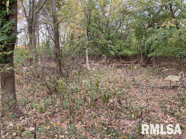 Property Photo: 000 Barnett Avenue IL 62918