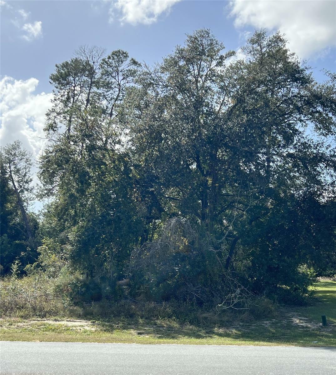 Property Photo:  Tbd SW 27th Terrace Road  FL 34473 