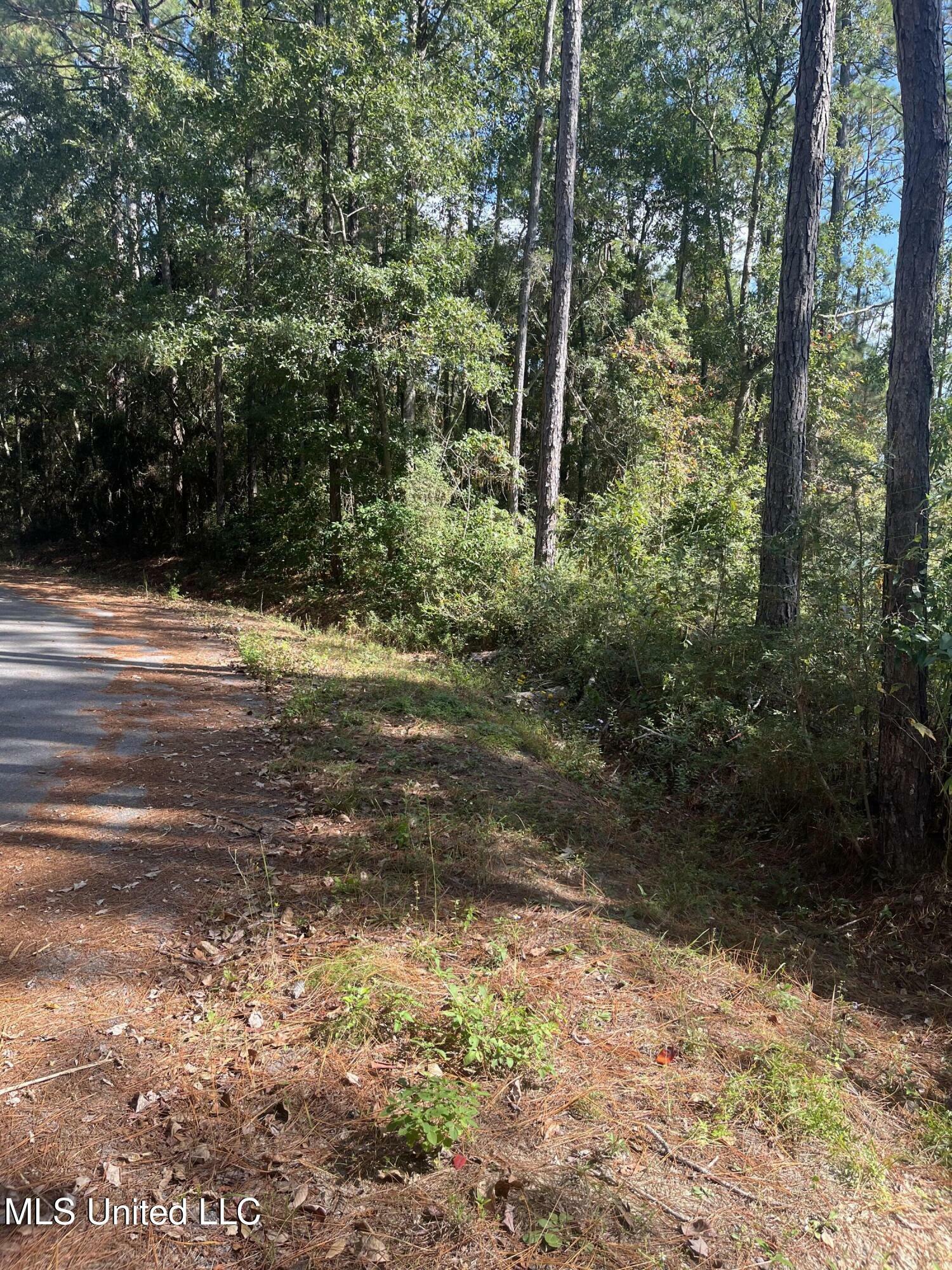 Property Photo:  Lot 79&Amp80 Windward Drive  MS 39553 