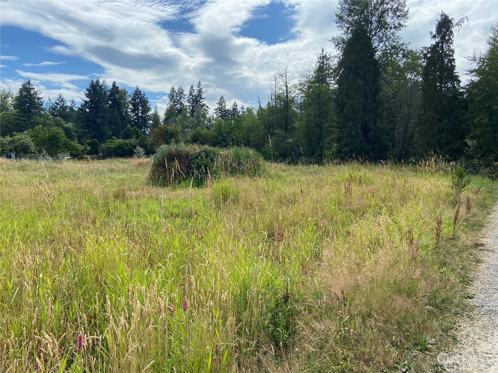 Property Photo: 0 66th Avenue E WA 98375