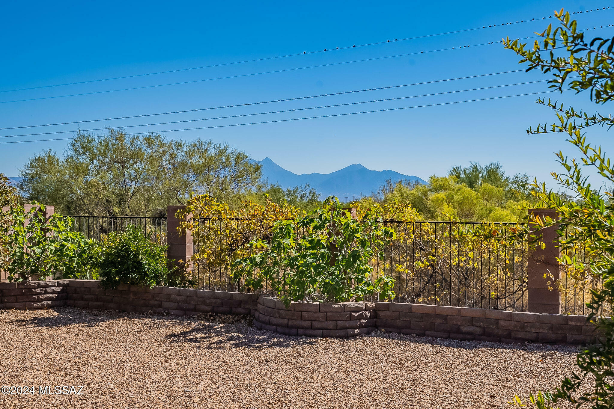 Property Photo:  923 W Calle Barranca Seca  AZ 85614 