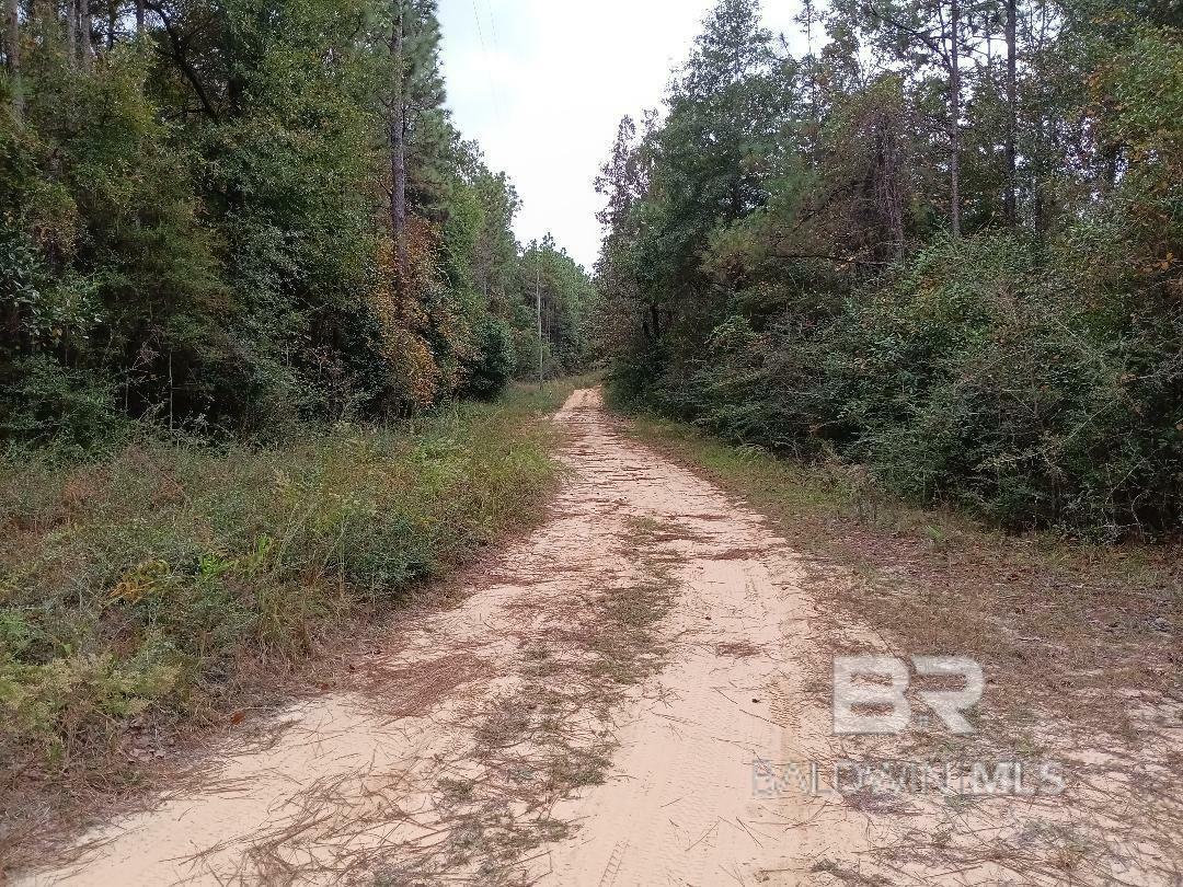 Property Photo: 0000 Sibley Creek Road AL 36527