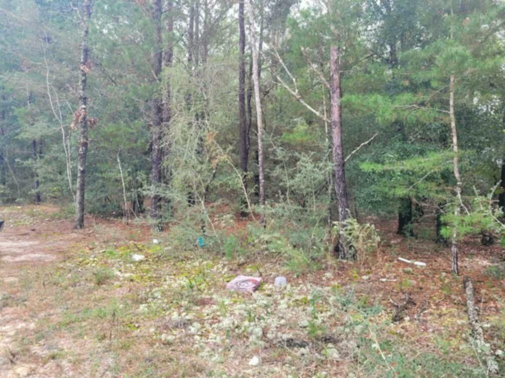 Lot 5 Blk 6 E. Violet Lane  Defuniak Springs FL 32433 photo