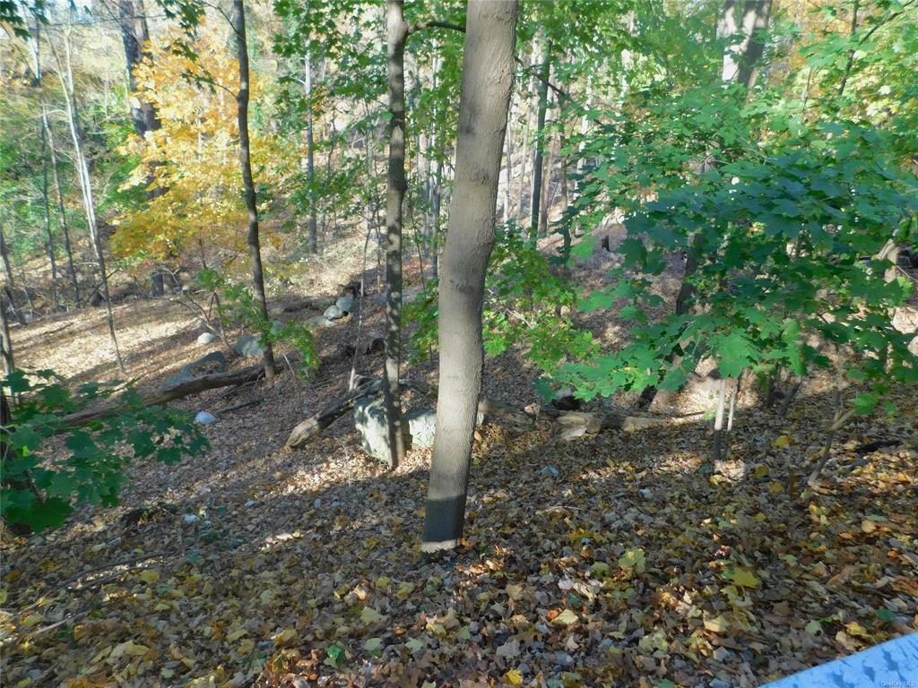 Property Photo:  Lot 11 Ash Street  NY 10537 