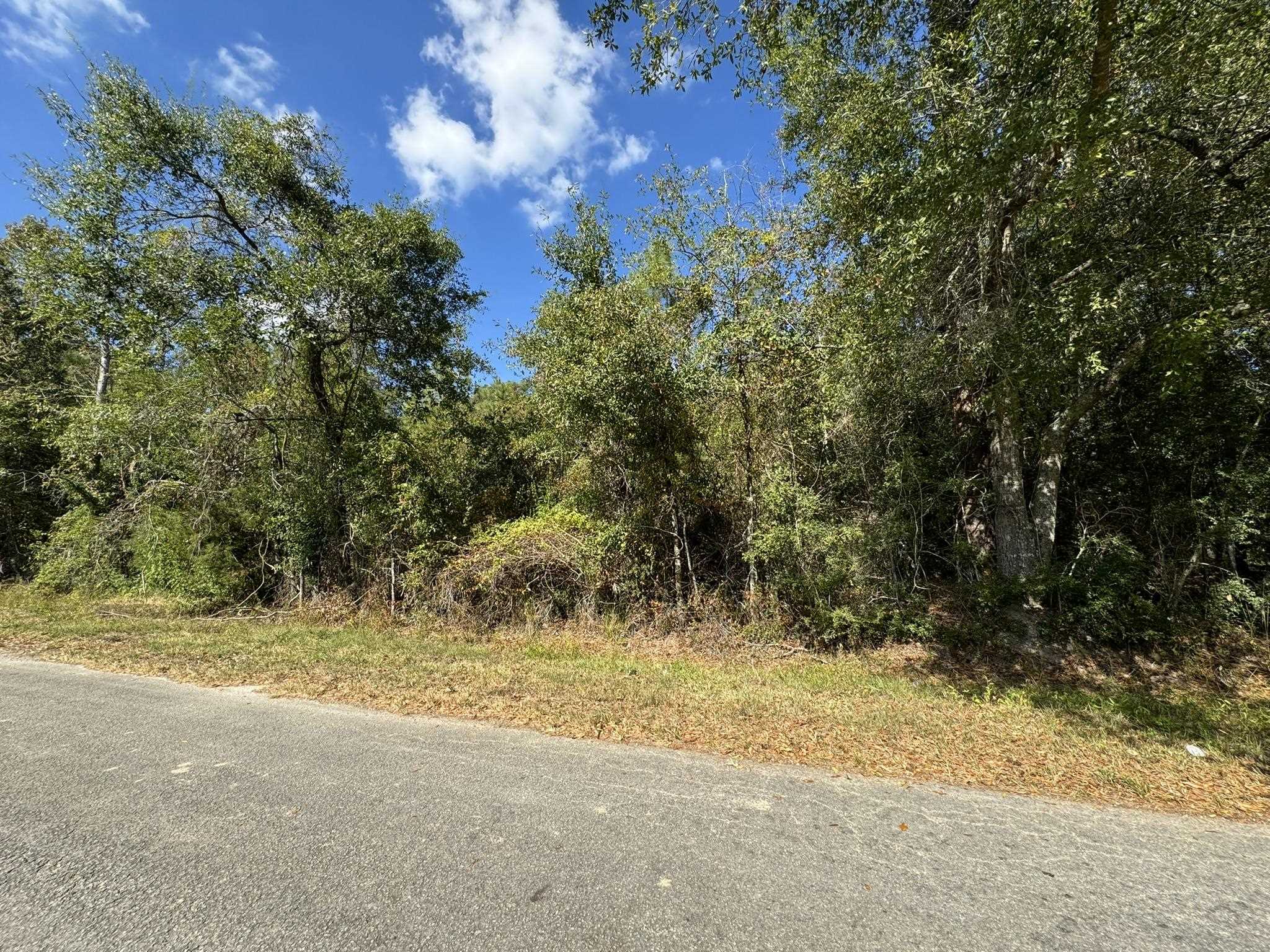 Property Photo:  2343 Linda  TX 77632 