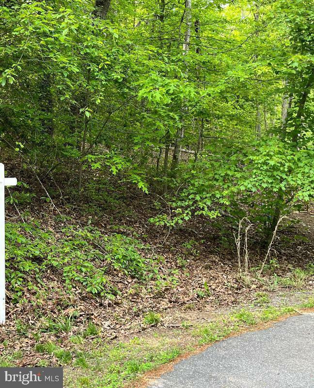 Hidden Lane Lot 8 8E  Stafford VA 22556 photo