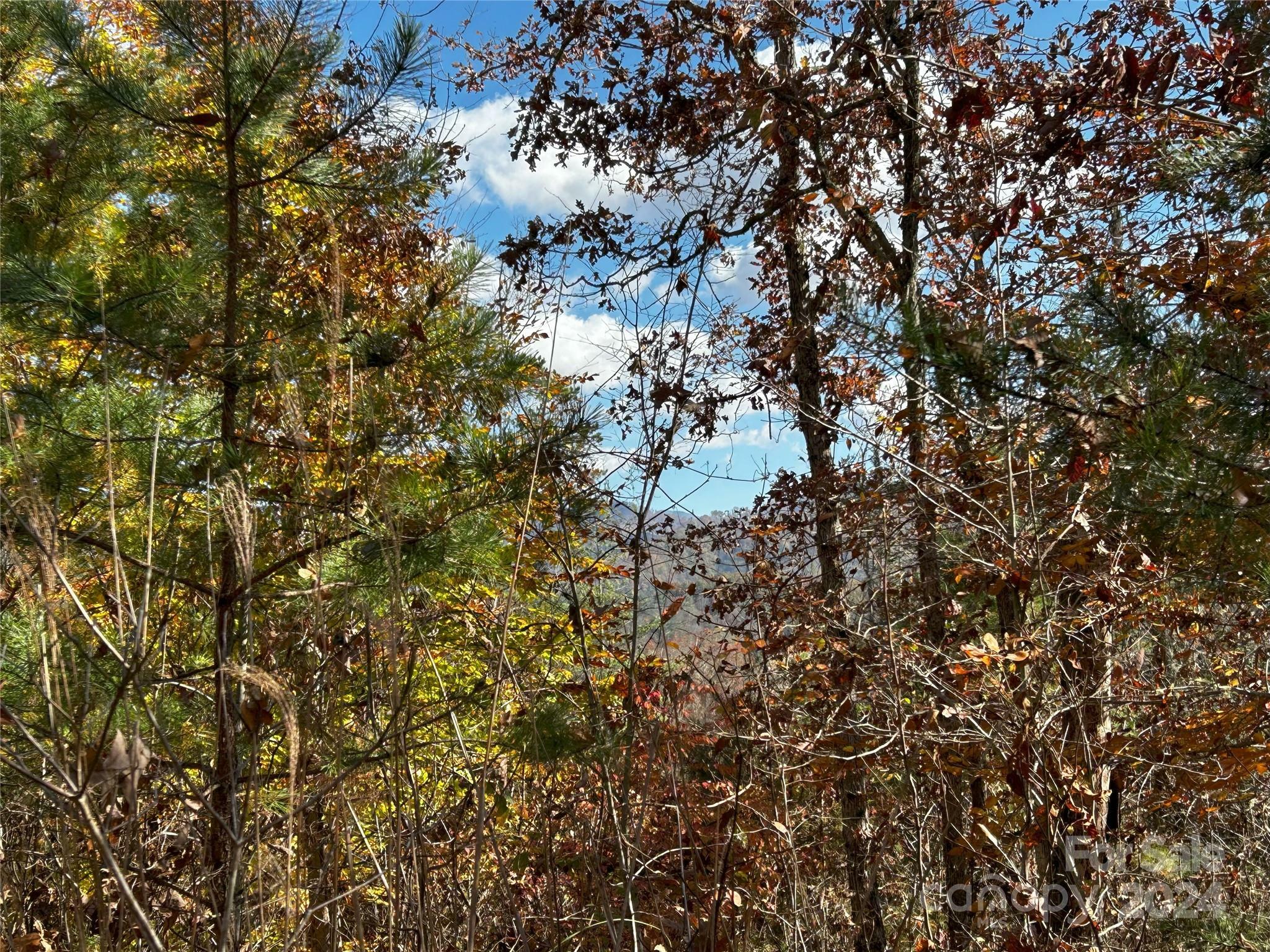 Property Photo:  1316 &Amp 1348 Paint Fork Road  NC 28754 