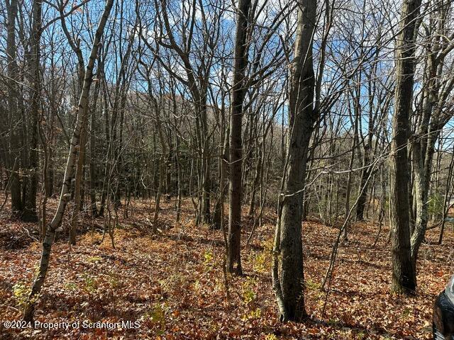 Property Photo:  Archbald Mt Road  PA 18436 