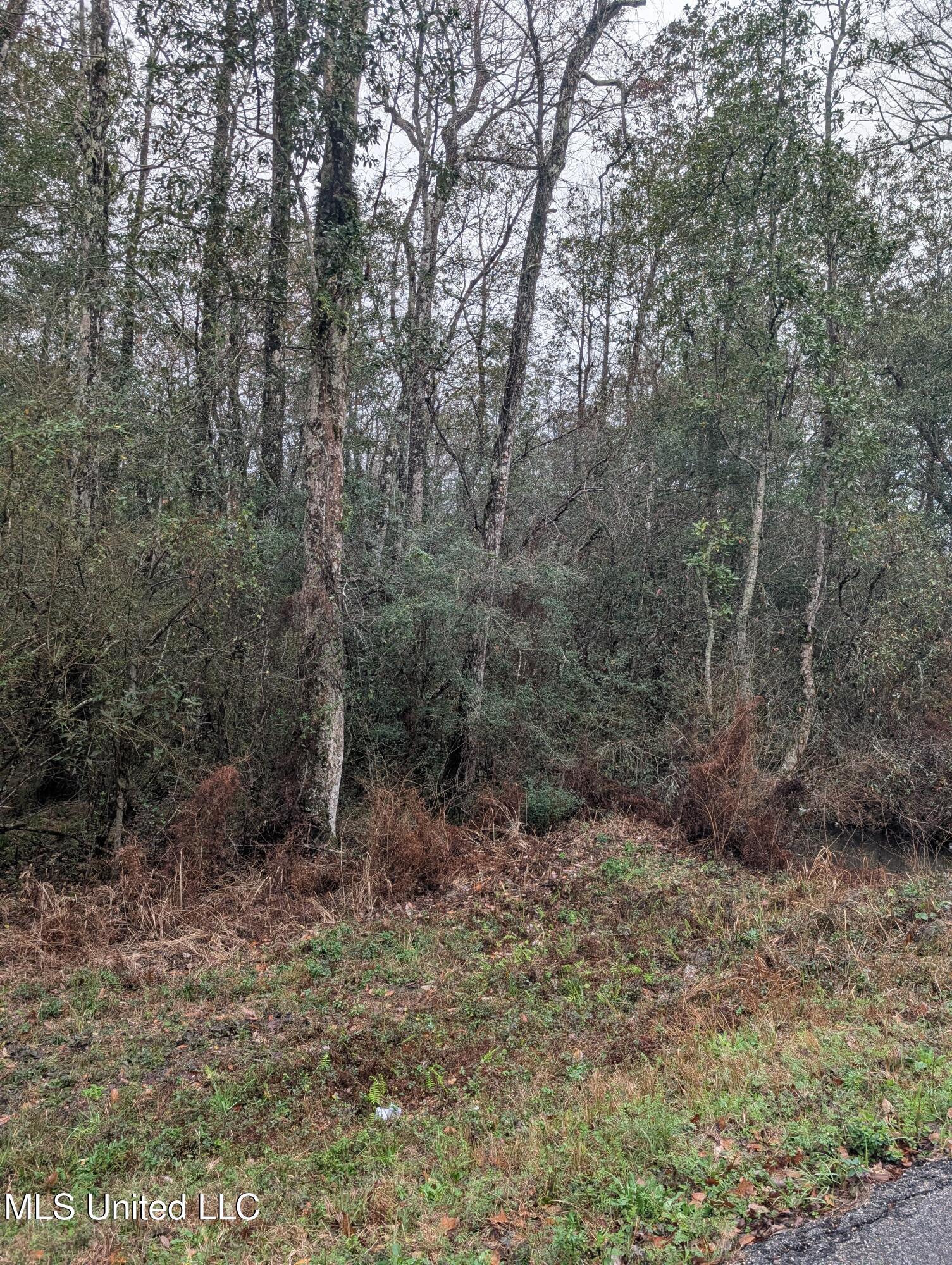 Property Photo: 5th Avenue MS 39520