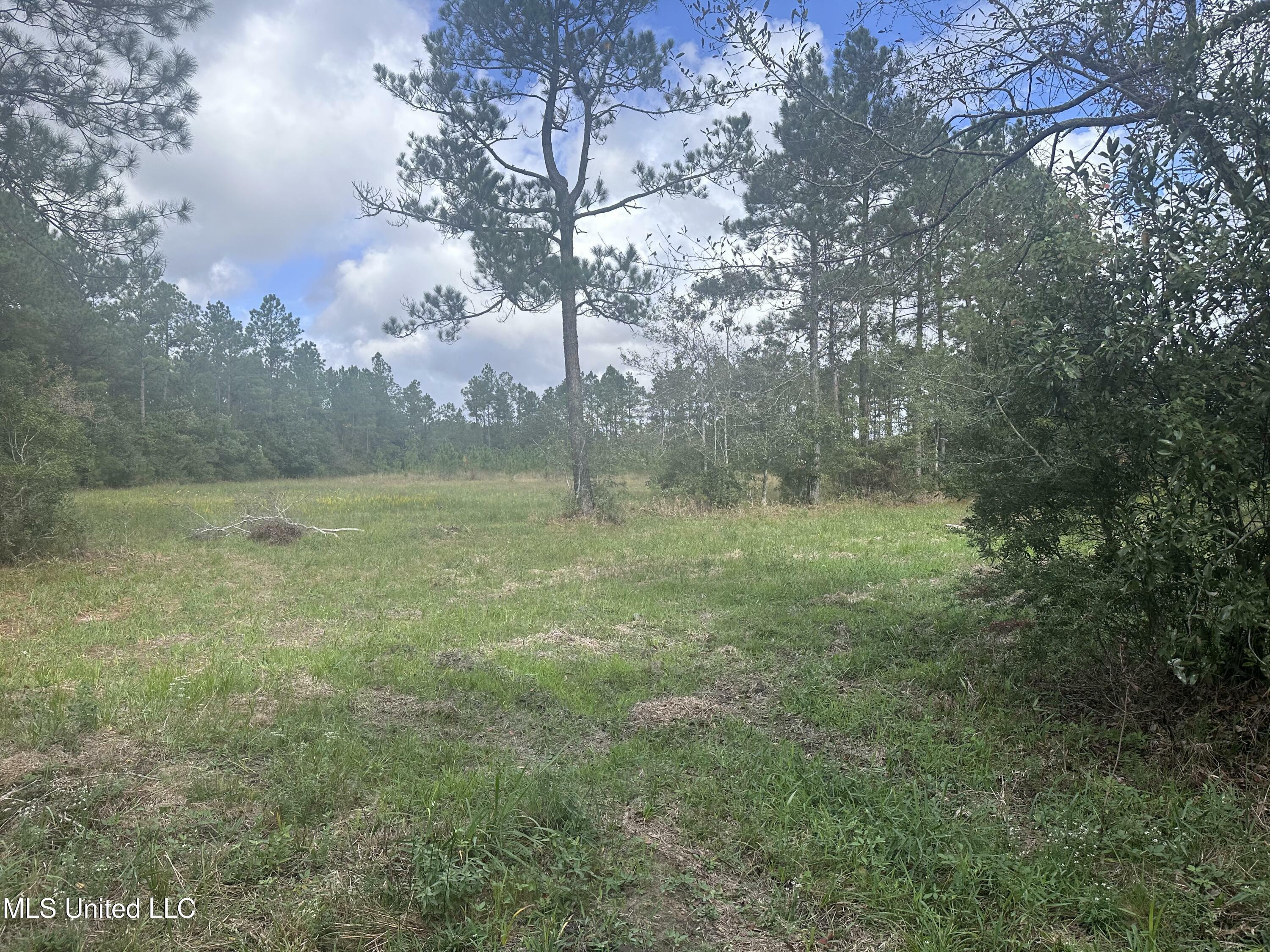 Property Photo:  Michael Drive  MS 39562 