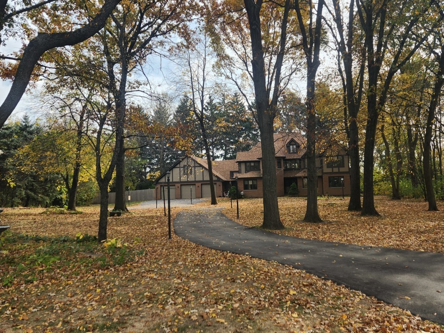 Property Photo:  21605 S Mattox Lane  IL 60404 