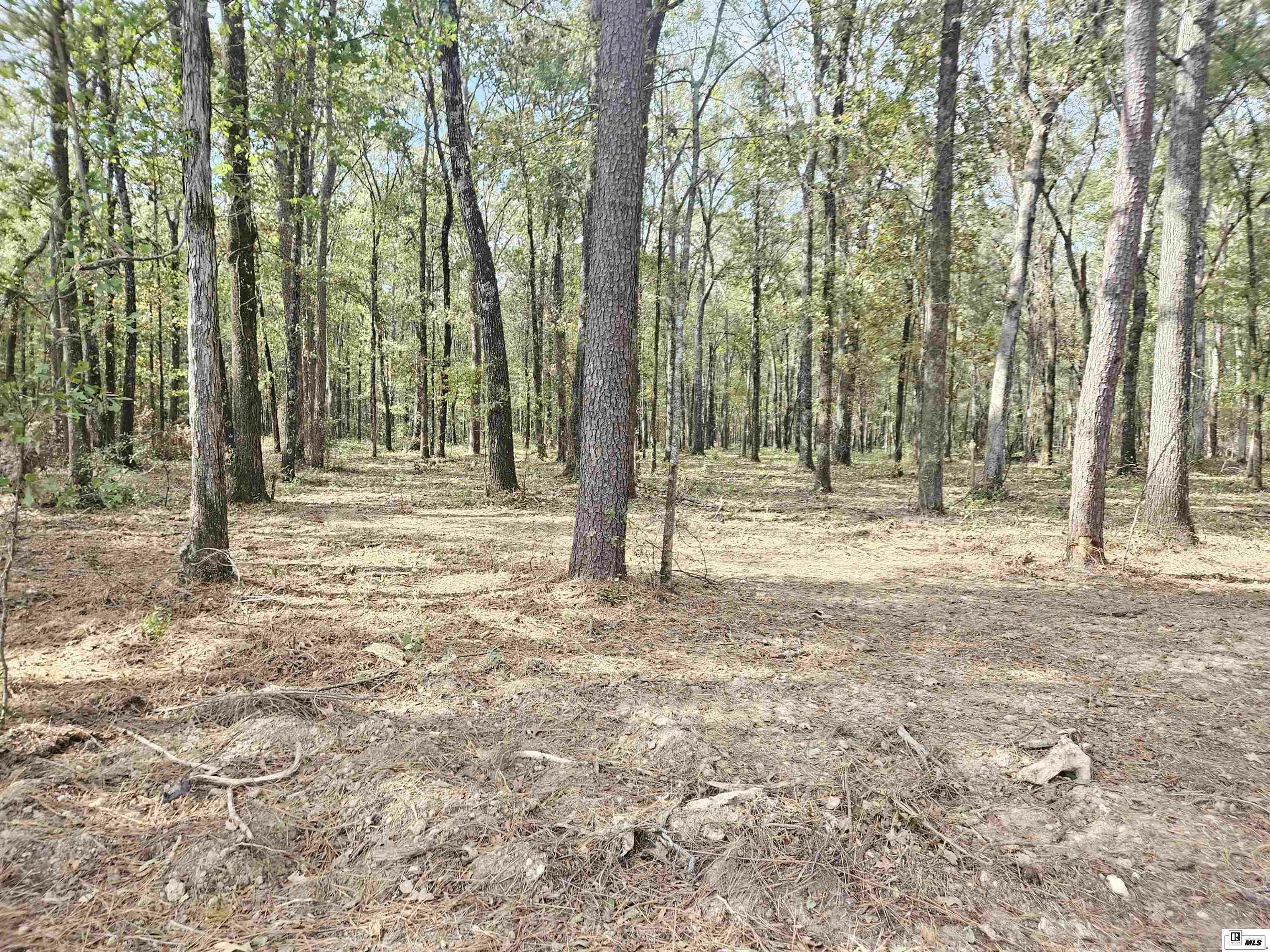 Property Photo:  Lot 4 Hudson Drive  LA 71203 