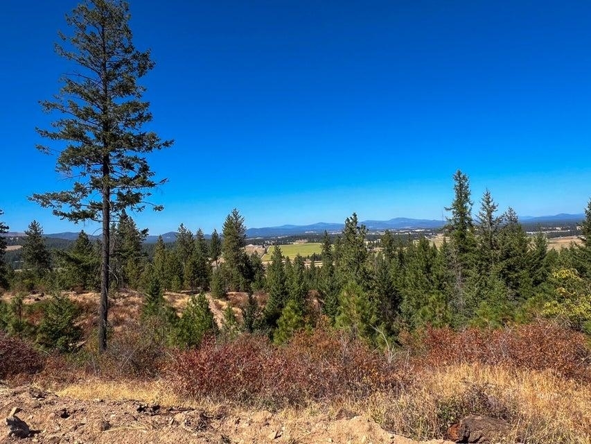 Property Photo:  52xx Lot 6 Swenson Rd  WA 99006 