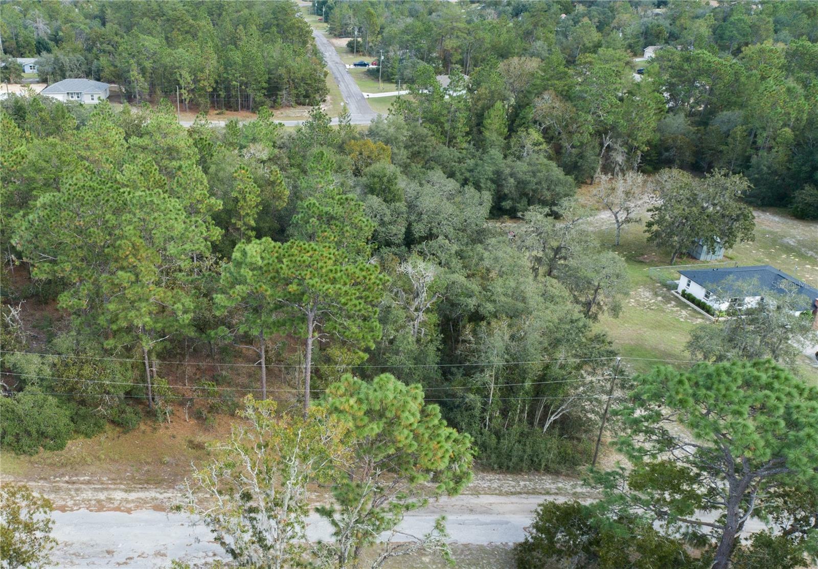 Property Photo:  10891 N Shady Hill Point  FL 34433 