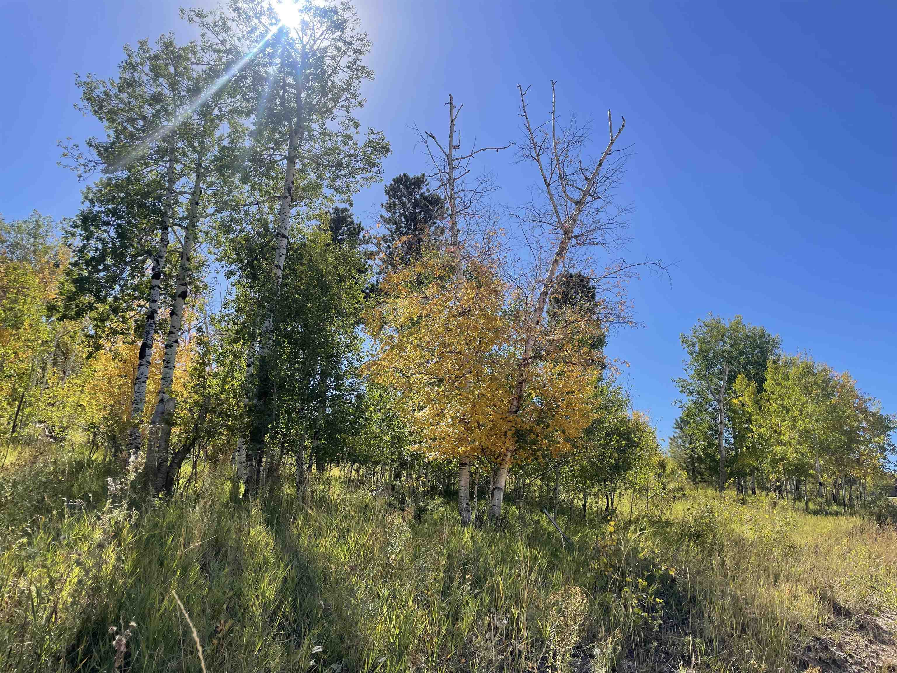 Property Photo:  Lot 1 Majestic Heights Road  SD 57785 