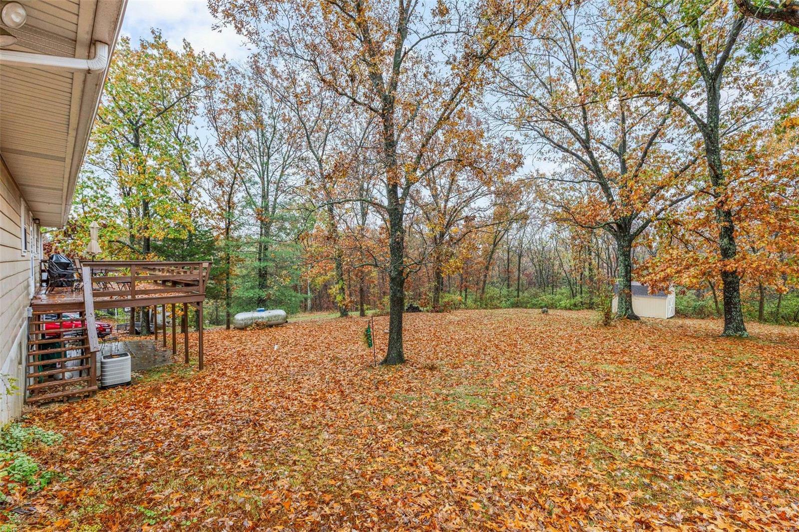 Property Photo:  11772 Kingston Drive  MO 63028 