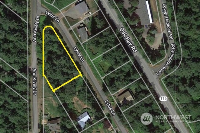 Property Photo: 0 Lylus Lane WA 98339