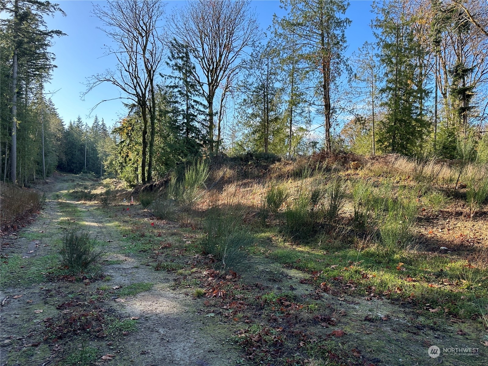 Property Photo:  5 Lots Lilypad Place E  WA 98366 