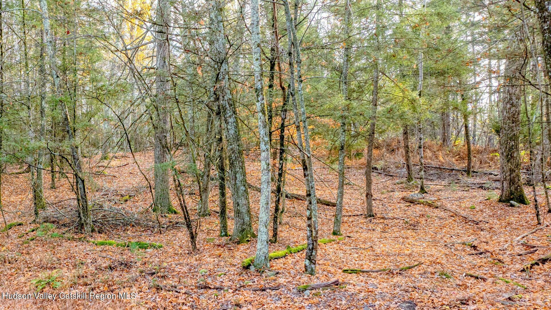 Property Photo:  Tbd Cherry Hill Lot #3  NY 12484 