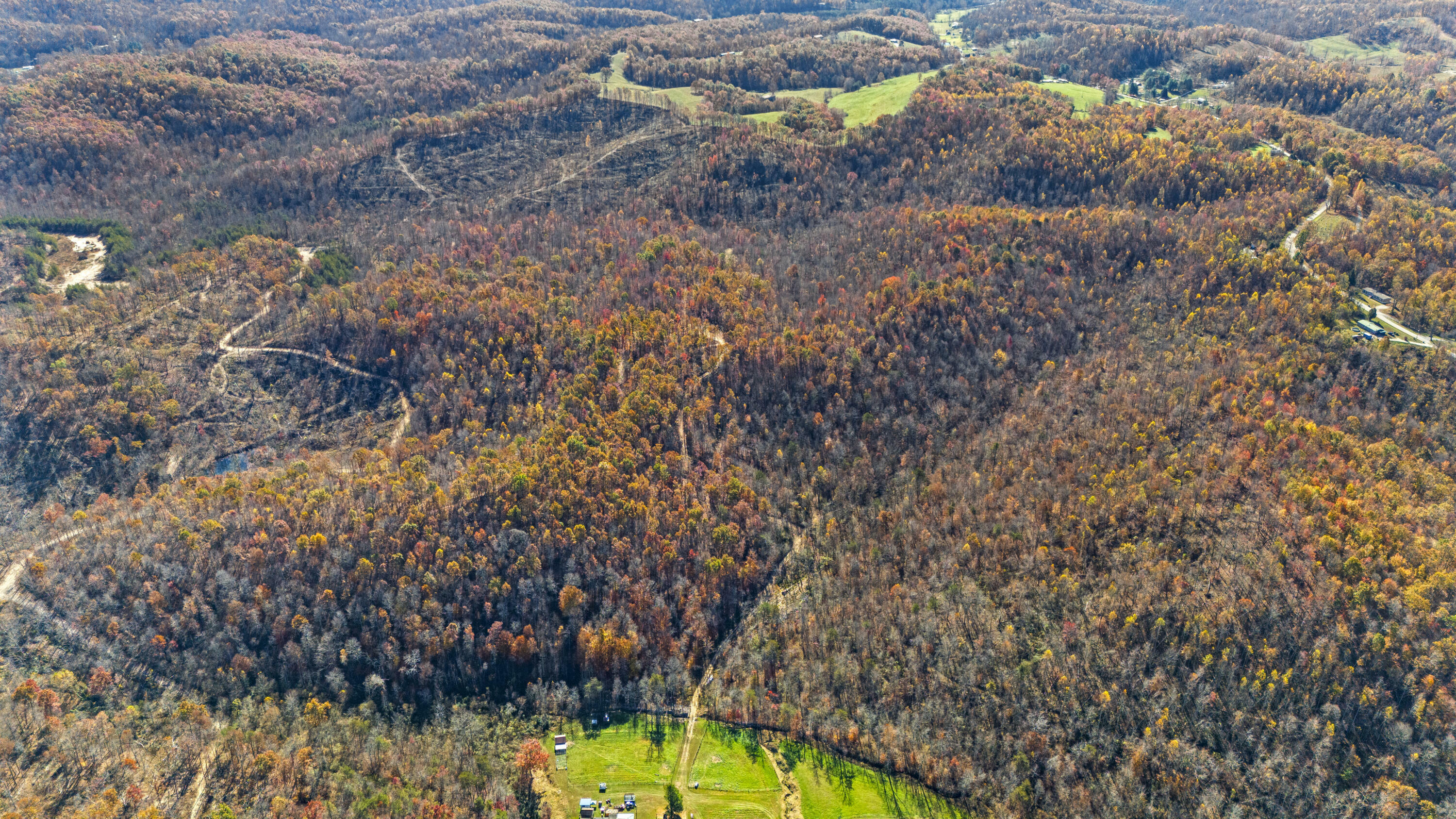 Property Photo:  Tbd Open Fork Road  KY 40351 