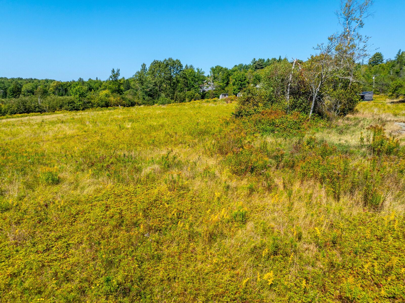 Property Photo: Map 4, Lot 17, Northfield Road ME 04654