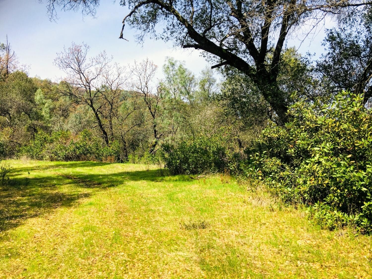 Property Photo: 99 Lotus Road CA 95667