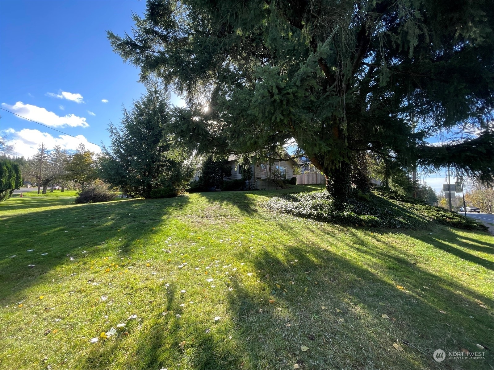 Property Photo:  1335 Roland St  WA 98225 