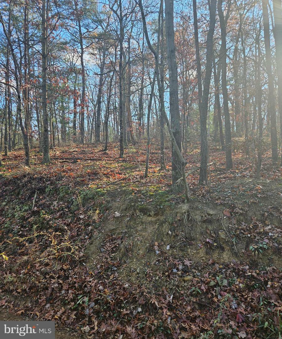 Property Photo:  Lot 16 E Lincoln Estates Subdivision  VA 22602 