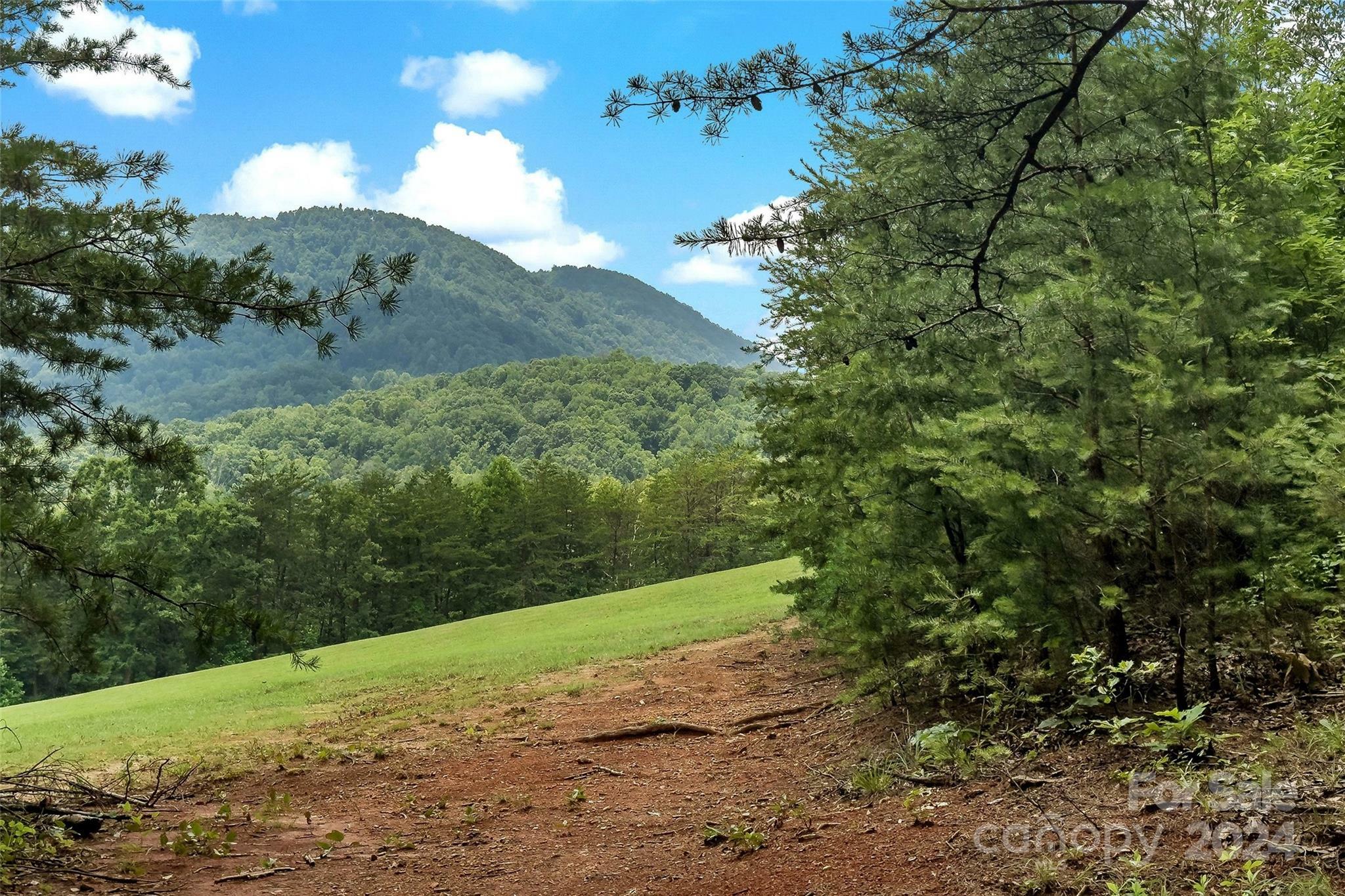 Property Photo:  99999 Davistown Church Road  NC 28762 