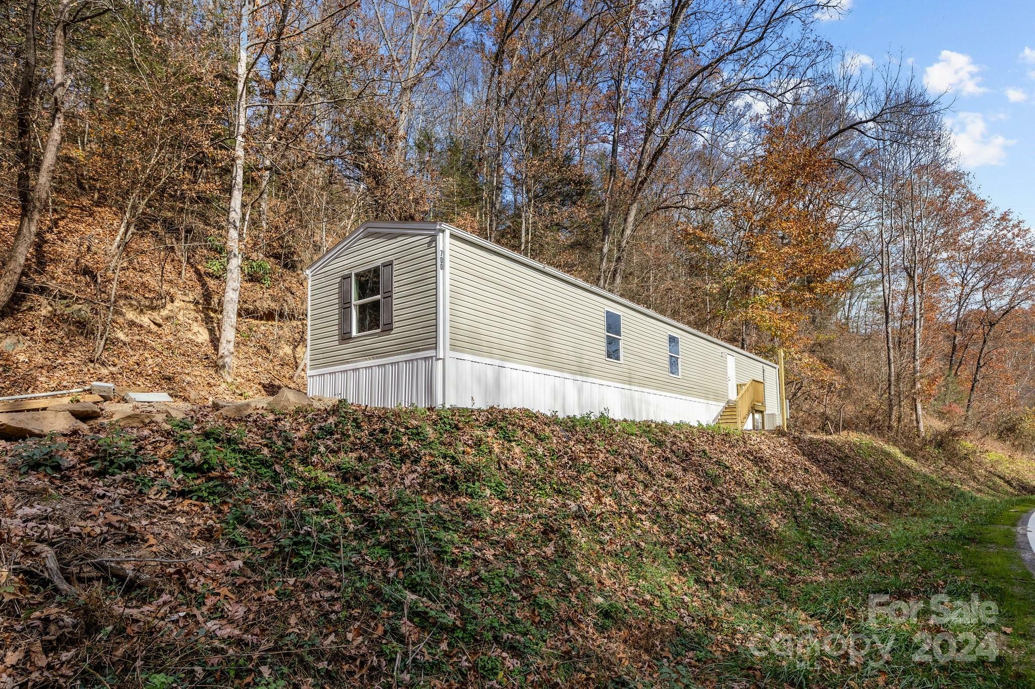 Property Photo:  700 Cove Creek Road  NC 28785 