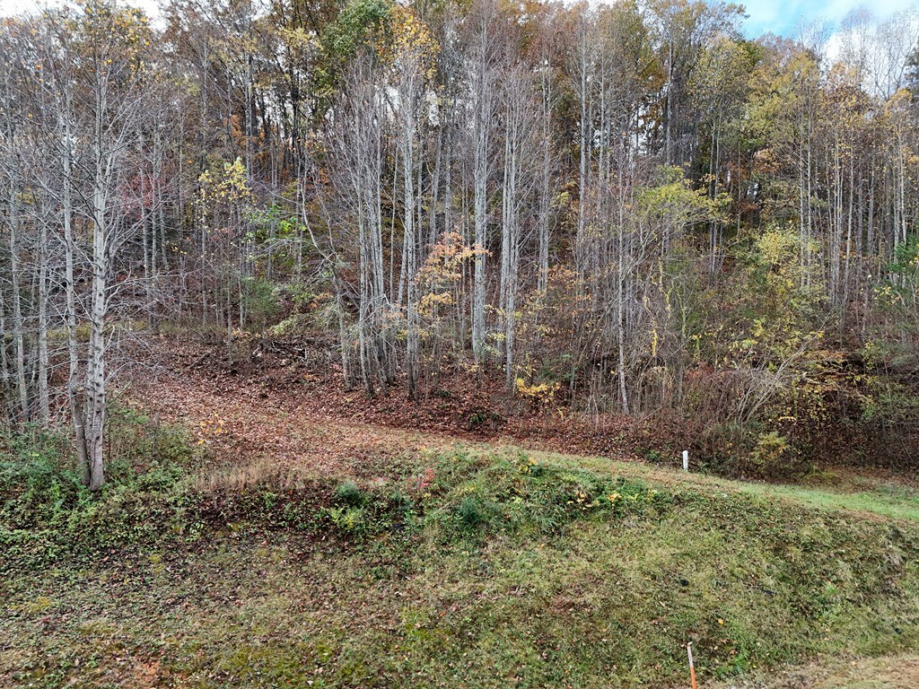 Property Photo:  1.6 Ac Highway 76  GA 30546 