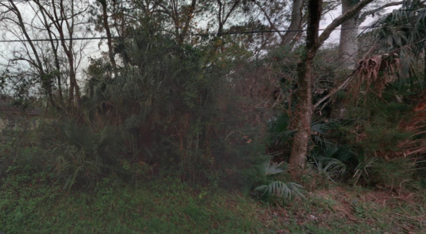 Property Photo:  548 S Nassau St  FL 32084 