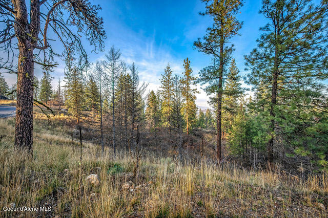 Property Photo:  Lot 4 Walkinshaw Ct  ID 83814 