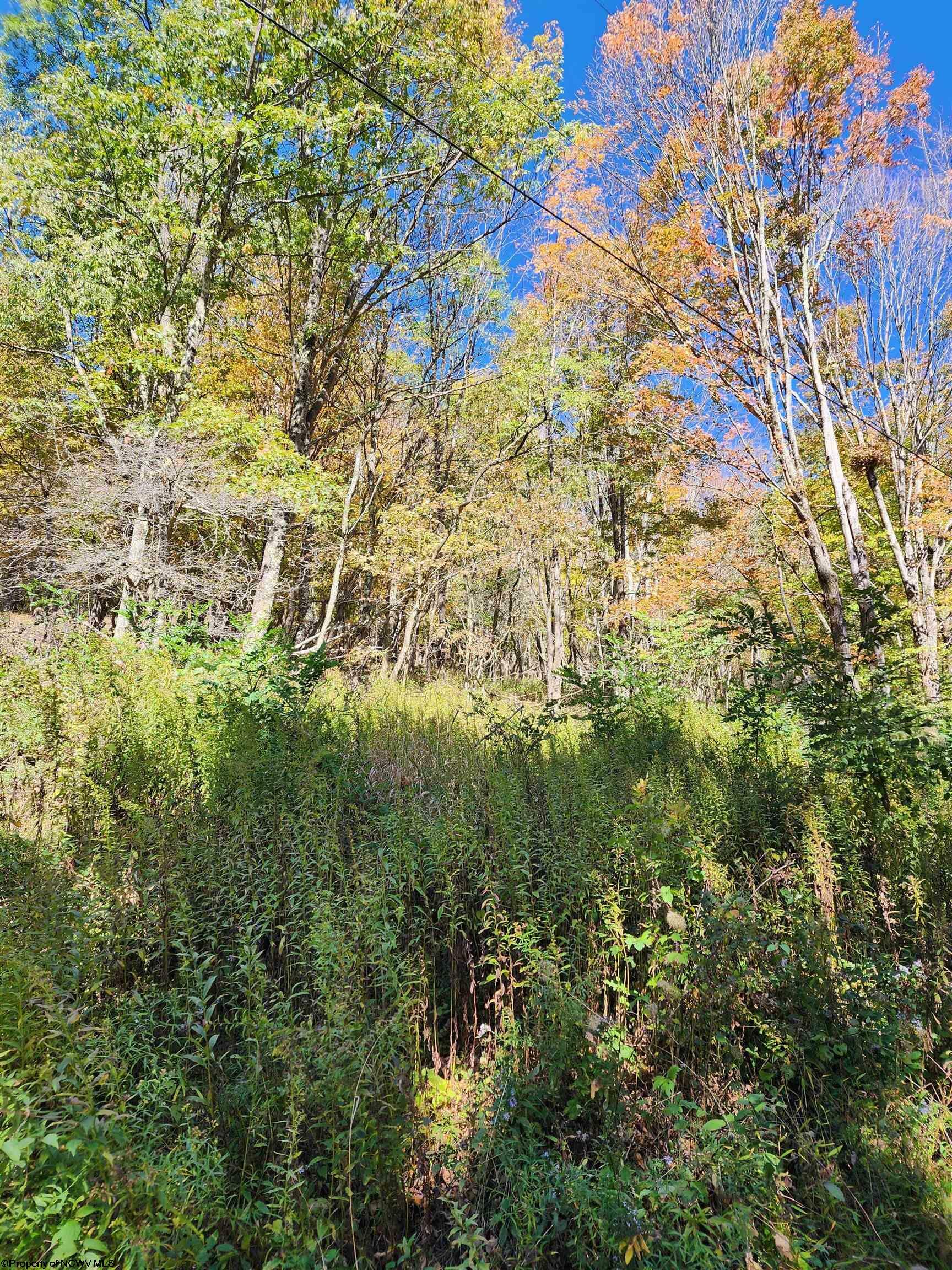 Property Photo:  22 E Meadows Road High Mtn  WV 26270 