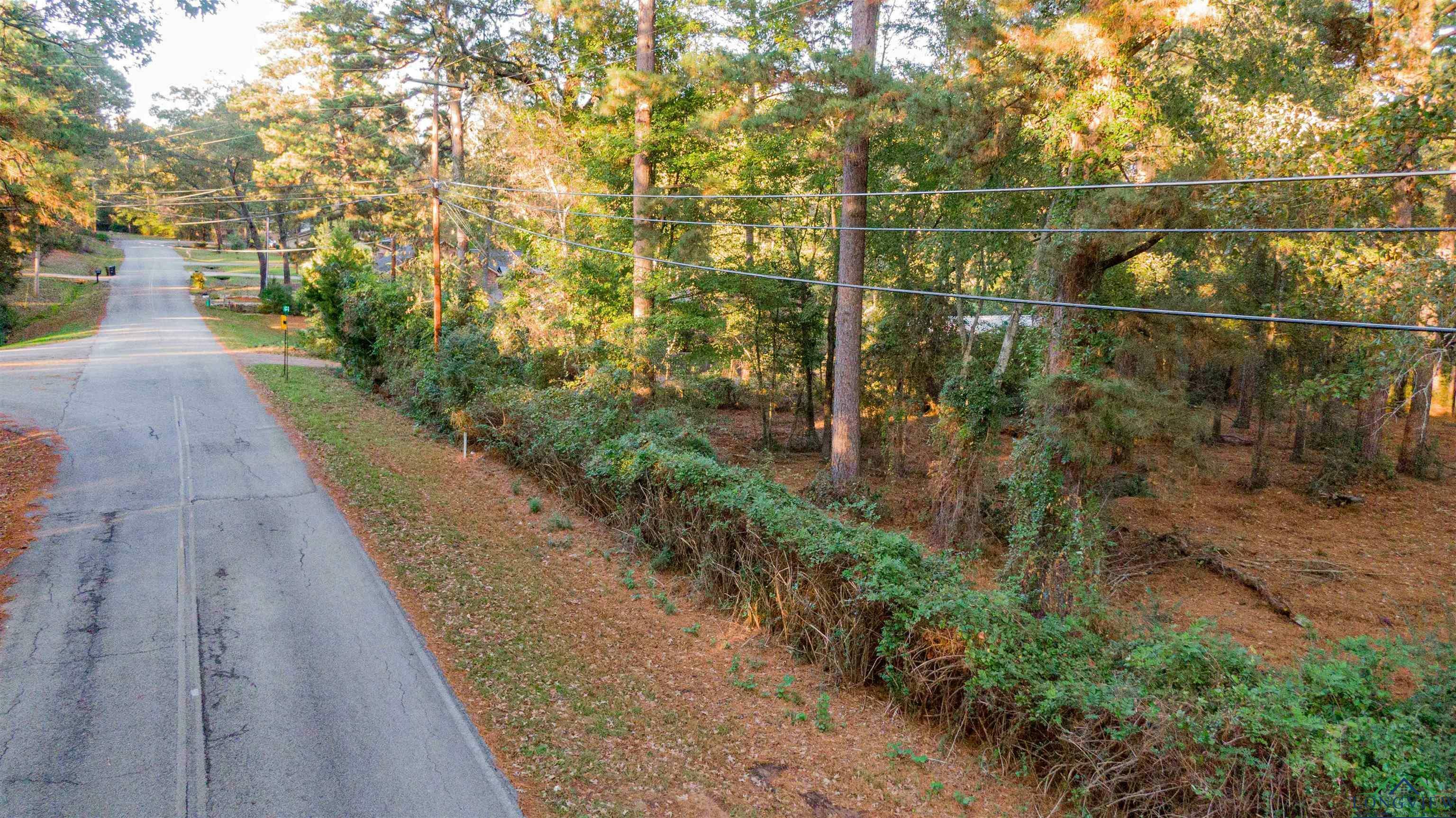 Property Photo:  Tbd Maxey Road  TX 75605 