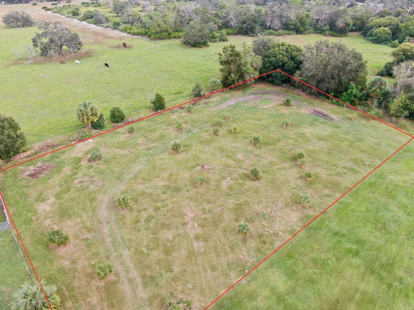 Property Photo: 5728 Maston Grove Lane FL 33527