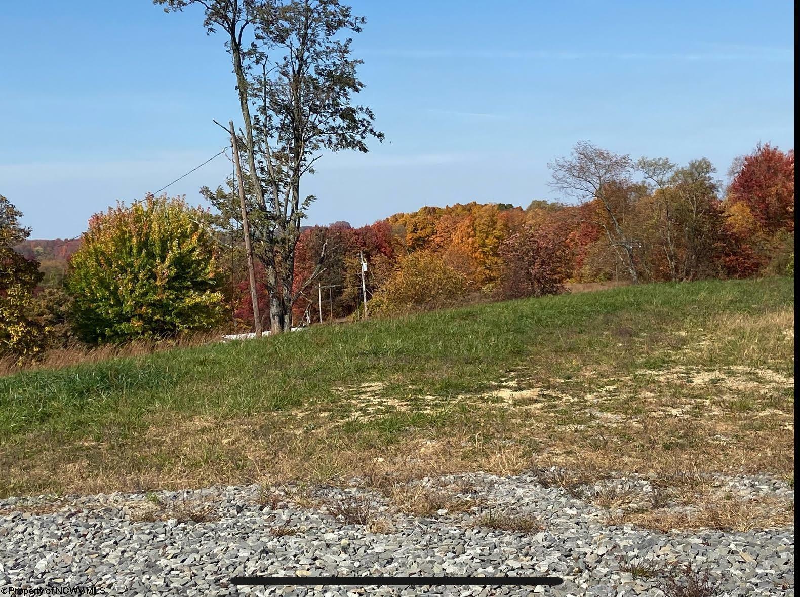 Property Photo:  0 Upper Childers Run Road  WV 26201 