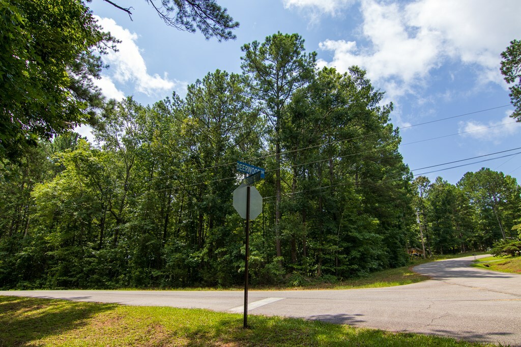 Property Photo:  0 Leisure Circle  GA 31822 