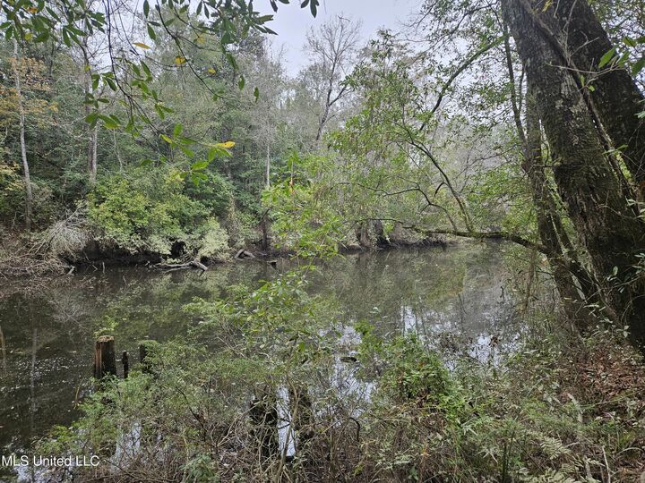 Property Photo:  River Road  MS 39532