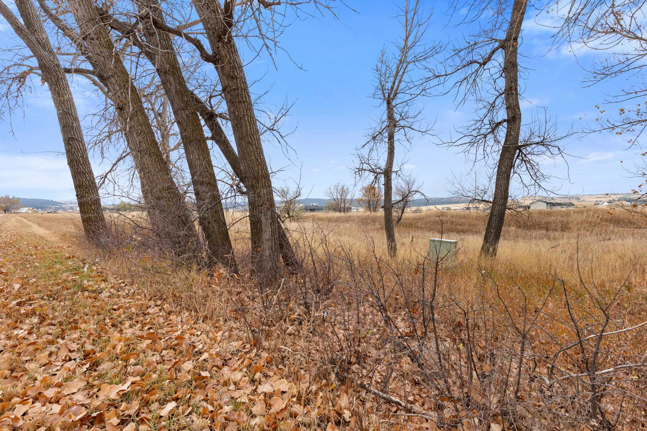 Property Photo:  13824 Riata Loop  SD 57769 