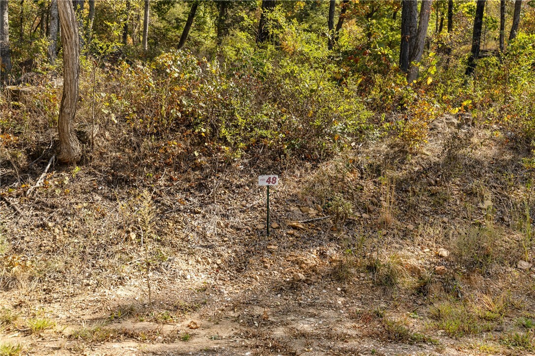 Property Photo:  Lot 48 Restore Ridge  AR 72601 